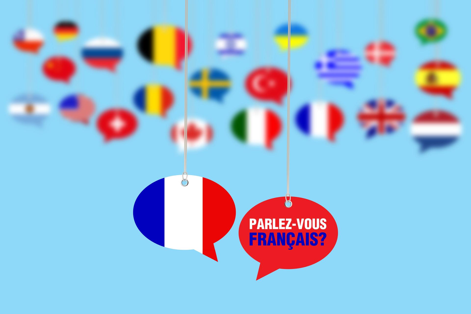 Do You Speak French? - Parlez-Vous Fran&#231;ais?